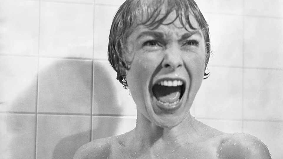 Marion Crane (Janet Leigh)